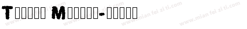 Toyota Mincho字体转换